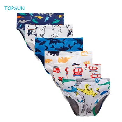 Slip da bambino per bambino Dinosaur Truck Intimo triangolare per bambini (confezione da 6)